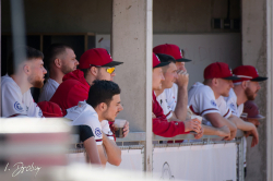 250405 Reds Heidekoepfe 0263