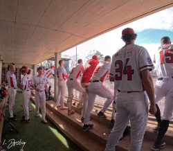 250405 Reds Heidekoepfe 0863 GOPR0032