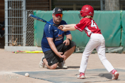 250705 Reds Foxes 0001