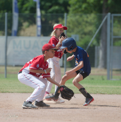 250705 Reds Foxes 0027