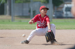 250705 Reds Foxes 0041