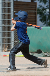 250705 Reds Foxes 0053