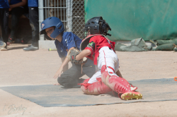 250705 Reds Foxes 0065