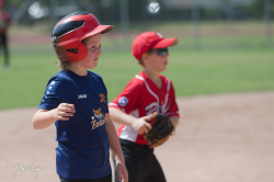 250705 Reds Foxes 0066