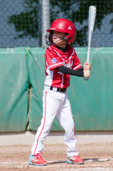 260509 Reds Foxes 0137