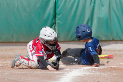 260509 Reds Foxes 0180