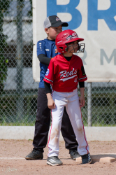 260509 Reds Foxes 0202