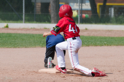260509 Reds Foxes 0222