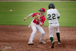 250525 Reds Wanderers 0355