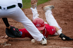 250525 Reds Wanderers 0390