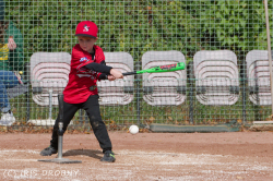 240929 T Ball 0407