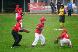 250928 T Ball 0128