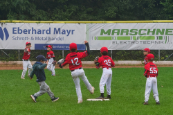 250928 T Ball 0289