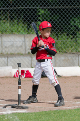 260607 T Ball 0070