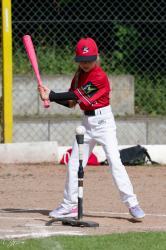 260607 T Ball 0086
