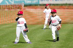 260607 T Ball 0173