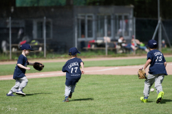 260607 T Ball 0310