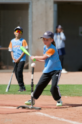 260607 T Ball 0317