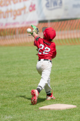 260607 T Ball 0532