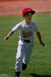 260607 T Ball 0626