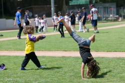 260607 T Ball 0663