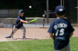 260607 T Ball 0737