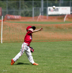 260607 T Ball 0853